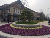 北京綠化設計施工